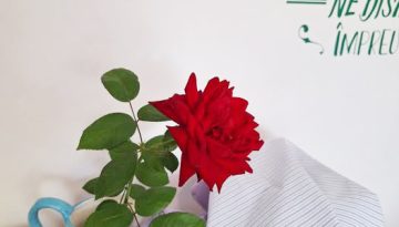 547278707_1419799006818616_8748512761943602174_n