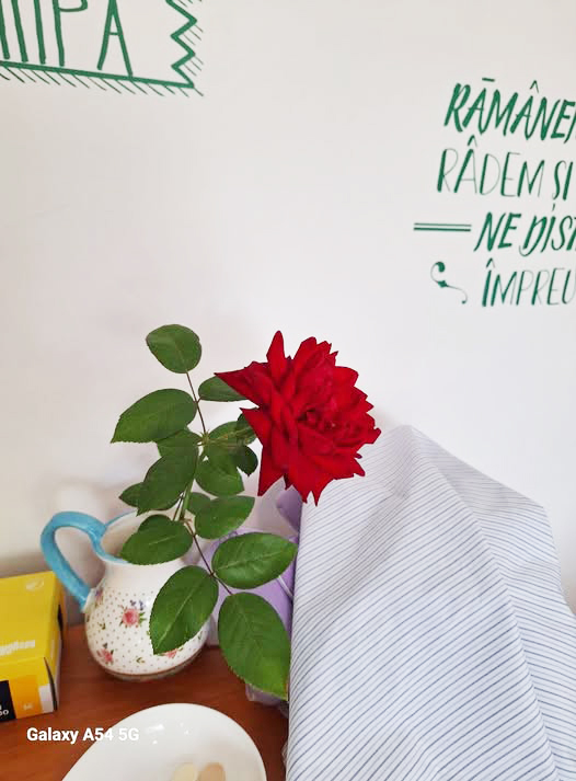 547278707_1419799006818616_8748512761943602174_n